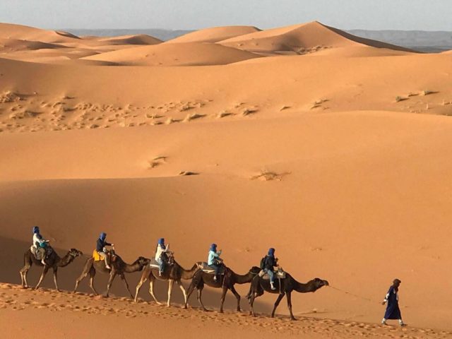 モロッコ 現地ツアーで砂漠を訪れる