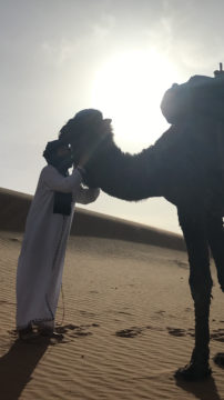 モロッコ 現地ツアーで砂漠を訪れる