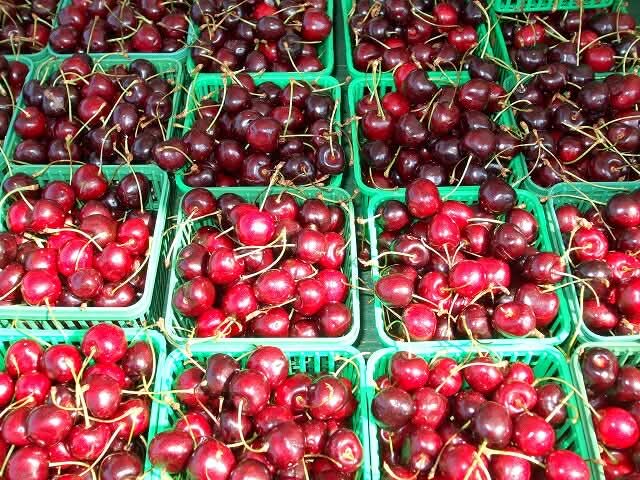 モロッコ,サクランボ