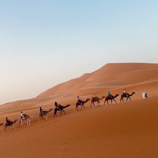 サハラ砂漠の町メルズーガでキャメルライド
