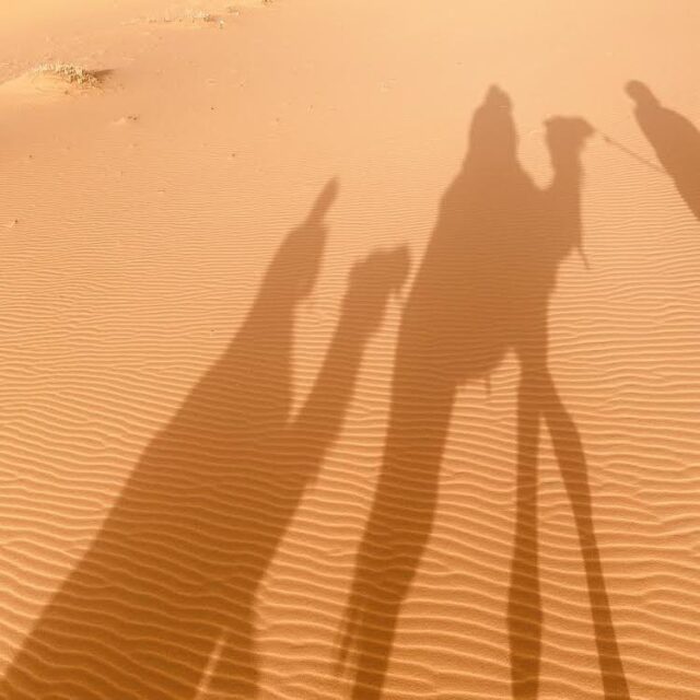 らくだツアーの影