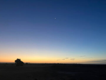 モロッコ旅行・お客様体験談 秋10月|サハラ砂漠の風の画像