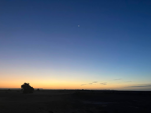 砂漠, 新月, 夜明け