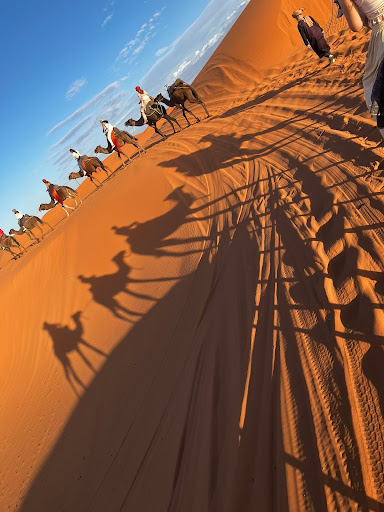 モロッコ,砂漠のらくだのり