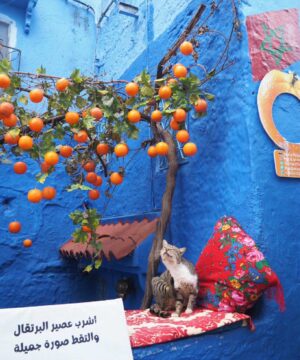 モロッコ旅行・お客様体験談 秋11月|サハラ砂漠の風の画像